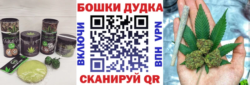 Canna-Cookies марихуана  Обоянь 