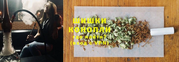 шишки Магадан